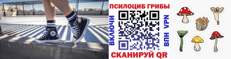 Галлюциногенные грибы GOLDEN TEACHER  Купить закладки  Льгов 